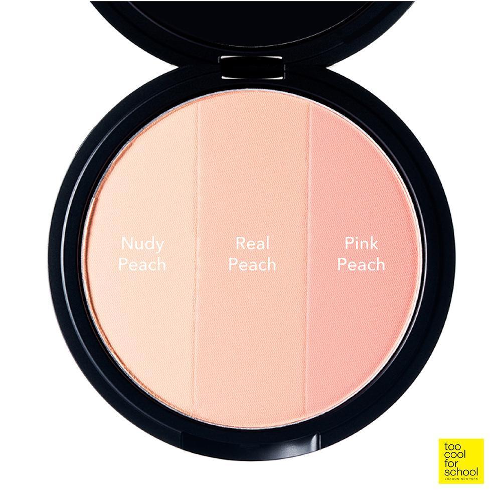 [TooCoolForSchool] Artclass By Rodin Blusher De Peche 9.5g