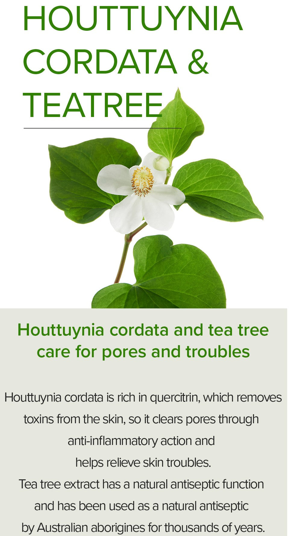 [MARY&MAY] Houttuynia Cordata +Tea Tree Serum - 30ml